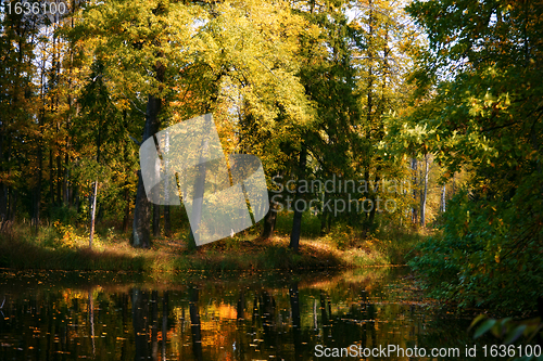 Image of river in autumn forest