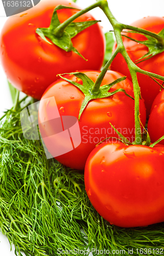 Image of vegetables for salad