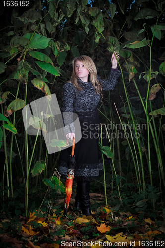 Image of girl walk in enchanted forest