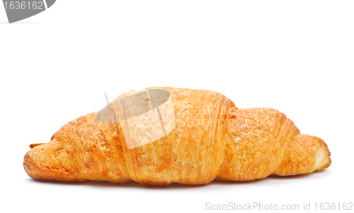 Image of fresh croissant