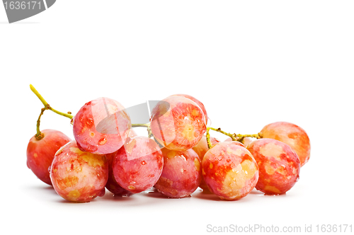 Image of bunch of red grape 