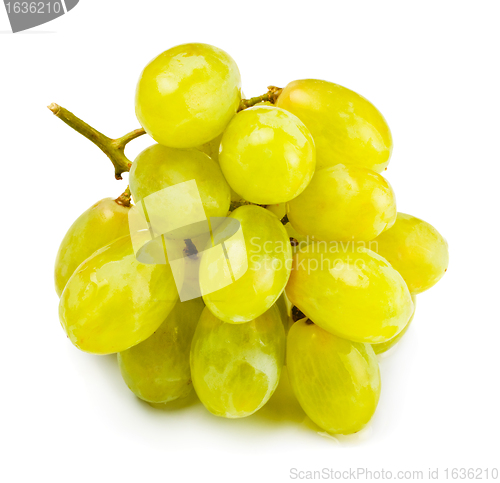 Image of bunch of white grape