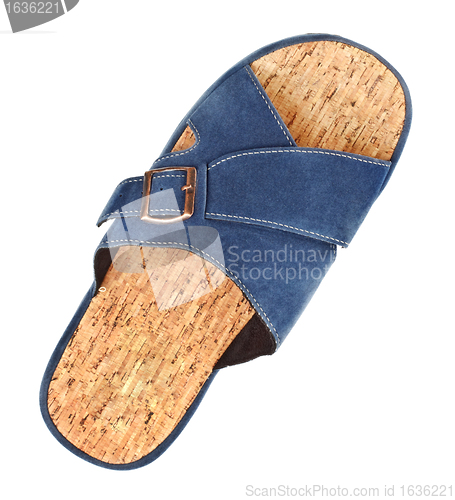 Image of blue slipper