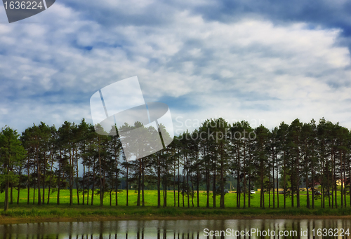 Image of forest under blue sky