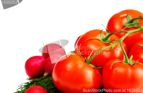 Image of vegetables for salad