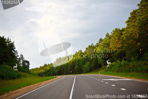 Image of way to Bialowieza Forest