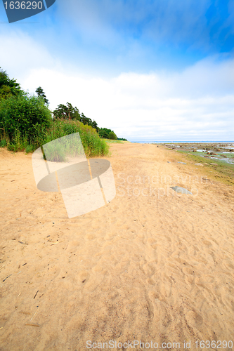 Image of tropical seashore