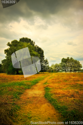 Image of mown hay on meadow