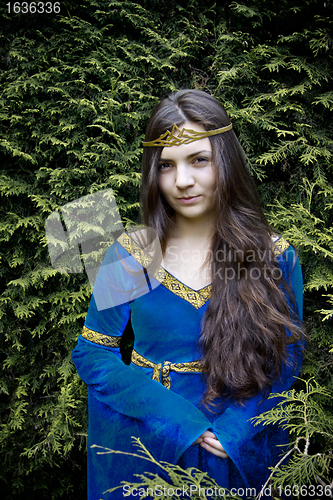 Image of elf princess  looking from bush