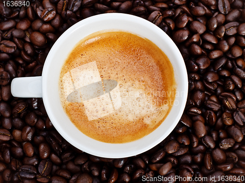 Image of espresso cup in coffee beans