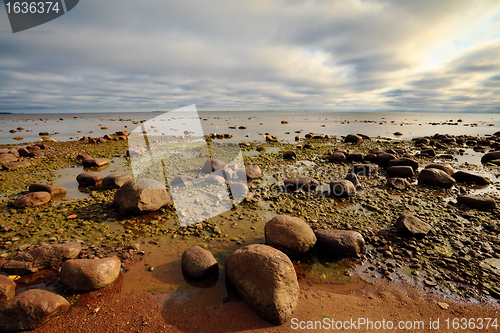 Image of rocky seashore