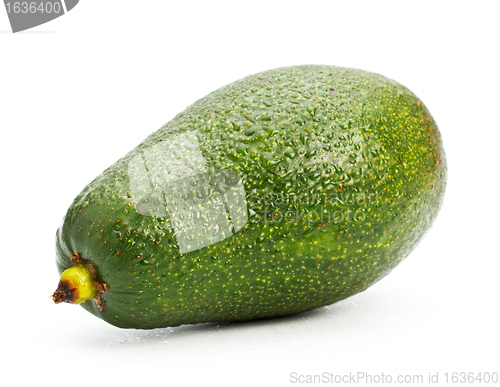 Image of single avocado