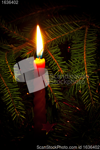 Image of candle on fir branches