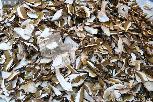 Image of Dried porcinis
