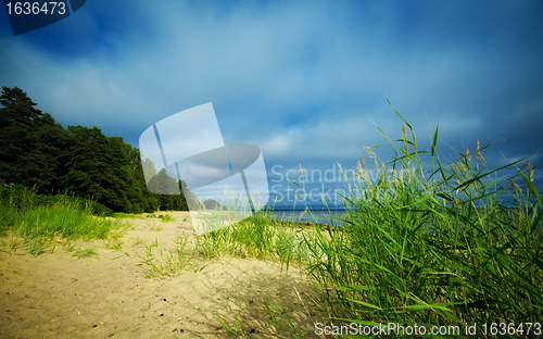 Image of seashore under blue sky