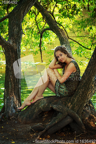 Image of beautiful girl sitting on a large tree