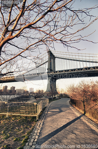 Image of Manhattan Bridge Detail with Tree, New York City