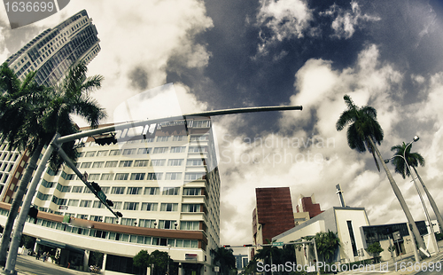 Image of Streets and Buildings in Miami