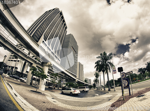 Image of Streets and Buildings in Miami