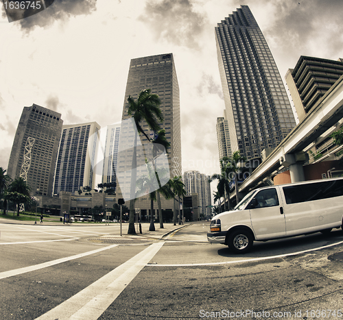 Image of Streets and Buildings in Miami