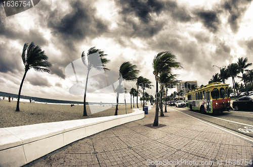 Image of Streets of Fort Lauderdale, Florida