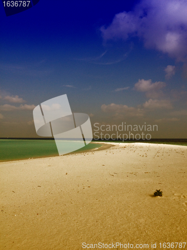 Image of Crystal Clear Waters of Maldives