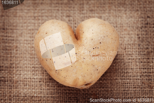 Image of love potato