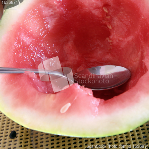 Image of Watermelon