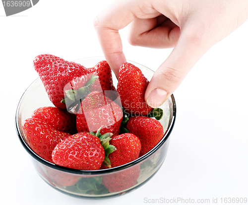 Image of Strawberry