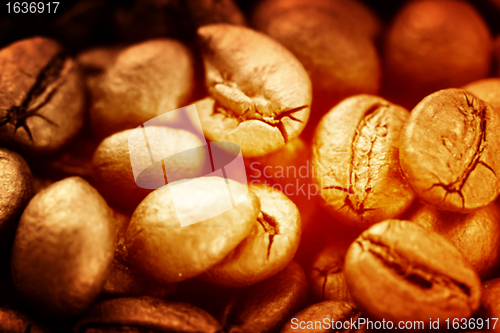 Image of Coffee beans