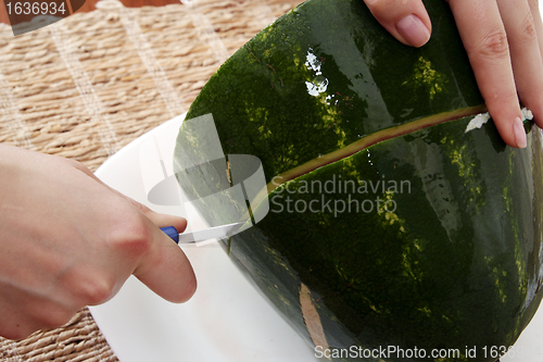 Image of Watermelon