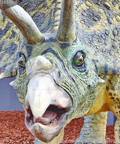 Image of Triceratops portrait