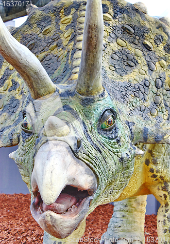 Image of Triceratops portrait