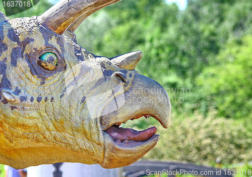 Image of Triceratops portrait
