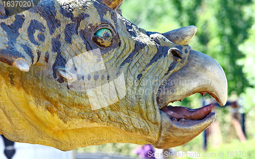 Image of Triceratops portrait