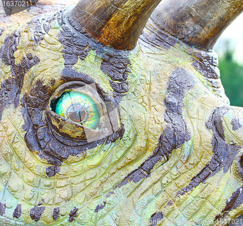 Image of Triceratops dinosaur eye