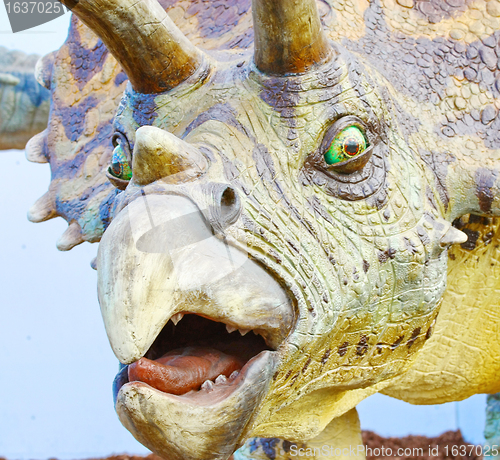 Image of Triceratops portrait