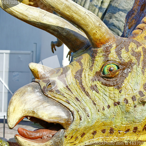 Image of Triceratops portrait