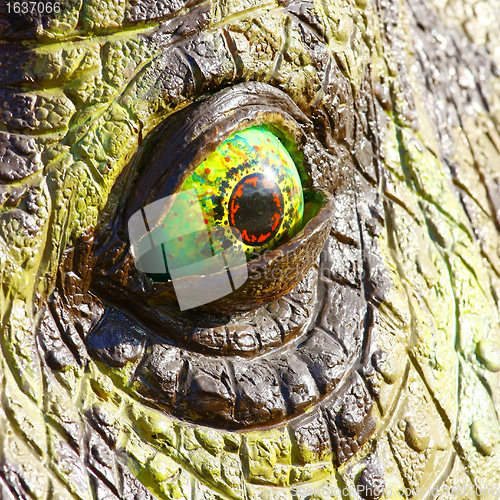 Image of Triceratops dinosaur eye