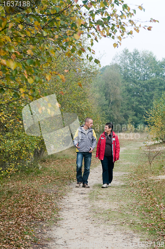 Image of Walk in the forest