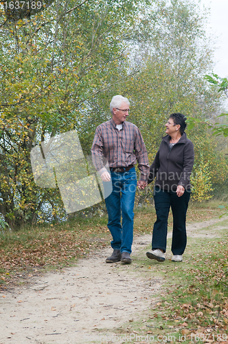 Image of Walking in the forest