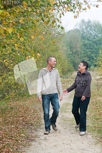 Image of Walk in the forest