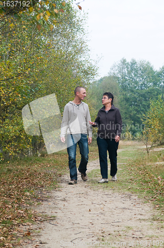 Image of Walk in the forest