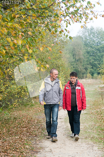 Image of Walk in the forest