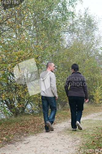 Image of Walk in the forest