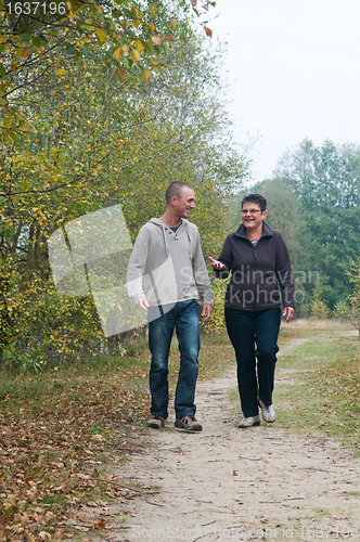 Image of Walk in the forest