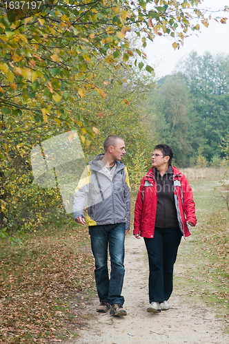 Image of Walk in the forest