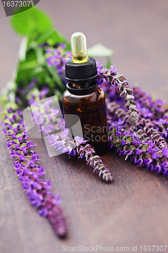 Image of sage essential oil 