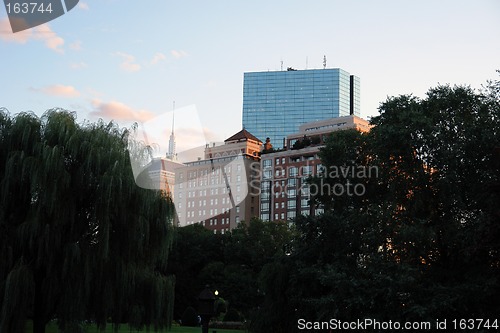 Image of Boston Buildings above the Public Gardens