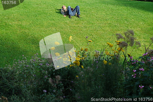 Image of Man sleeping in park